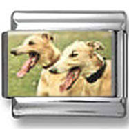 Greyhound Dog Photo Charm
