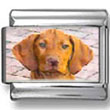 Vizsla Dog Photo Charm