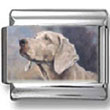Weimaraner Dog Photo Charm