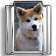 Akita Dog Photo Charm