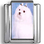 Maltese Dog Photo Charm
