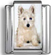 West Highland White Terrier Dog Photo Charm