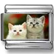 Two Kittens Photo Charm