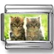 Two Kittens in Grass Photo Charm