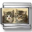 Twin Kittens Photo Charm