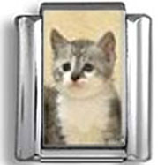 Sad Kitty Photo Charm