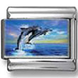 Two diving dolphins photo charm