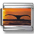 Whale Diving with Horizon Photo Charm