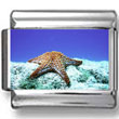 Starfish in Water Photo Charm