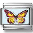 Tropical Butterfly photo charm