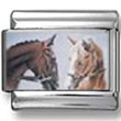 Two Horses Photo Charm