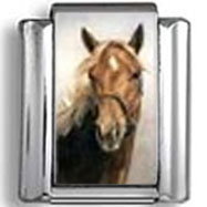 Horse Looking At You Photo Charm