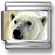 Polar Bears Italian Charm