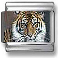 Tiger Italian Charm