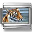 Tiger Photo Charm