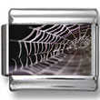 Spider Web Photo Charm
