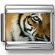 Tiger Face Photo Charm