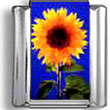 Sunflower Italian Charm