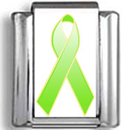 Lime Awareness Ribbon Photo Charm