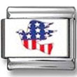 Dove American Flag Photo Charm