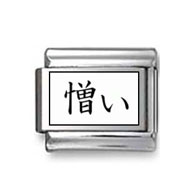 Kanji Symbol "Hatefull" Italian Charm