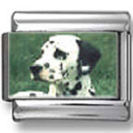 Dalmatian Dog Photo Charm