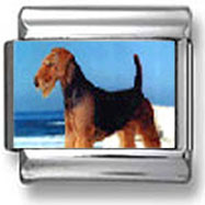 Airedale Terrier Photo Charm