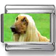 Afghan hound Dog Photo Charm