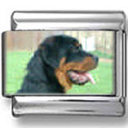 Rottweiler Dog Photo Charm