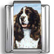English Springer Spaniel Dog Photo Charm