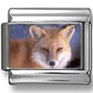Fox photo charm