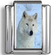 White Wolf photo charm