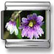 Purple Lily Italian Charm