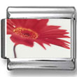 Red Flower Photo Charm