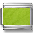 Green Nature Leaf Photo Charm