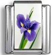 Purple Flower Photo Charm