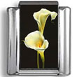 Calla Lilies Flower Still Life Photo Charm