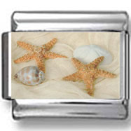 Seashells and Starfish on Sand Photo Charm