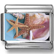 Starfish and Shell Photo Charm
