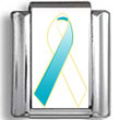 White and Teal Cervical Cancer Awareness Ribbon Photo Charm