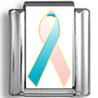 Pink and Teal Hereditary Breast Cancer Awareness Ribbon Photo Ch Italian Charm