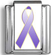 Violet Hodgkin's Disease Awareness Ribbon Photo Charm