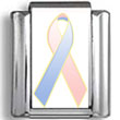 Pink and Blue Awareness Ribbon Photo Charm