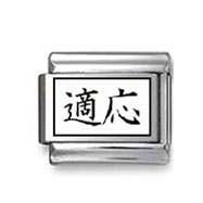 Kanji Symbol "Adapt" Italian Charm