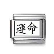 Kanji Symbol "Destine" Italian Charm