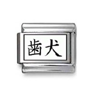 Kanji Symbol "Evetooth" Italian Charm