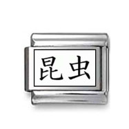 Kanji Symbol "Insect" Italian Charm