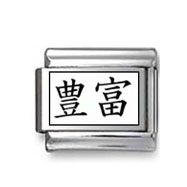 Kanji Symbol "Plenty" Italian Charm