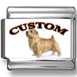 Norfolk Terrier Dog Custom Photo Charm