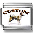 Canaan Dog Custom Photo Charm
